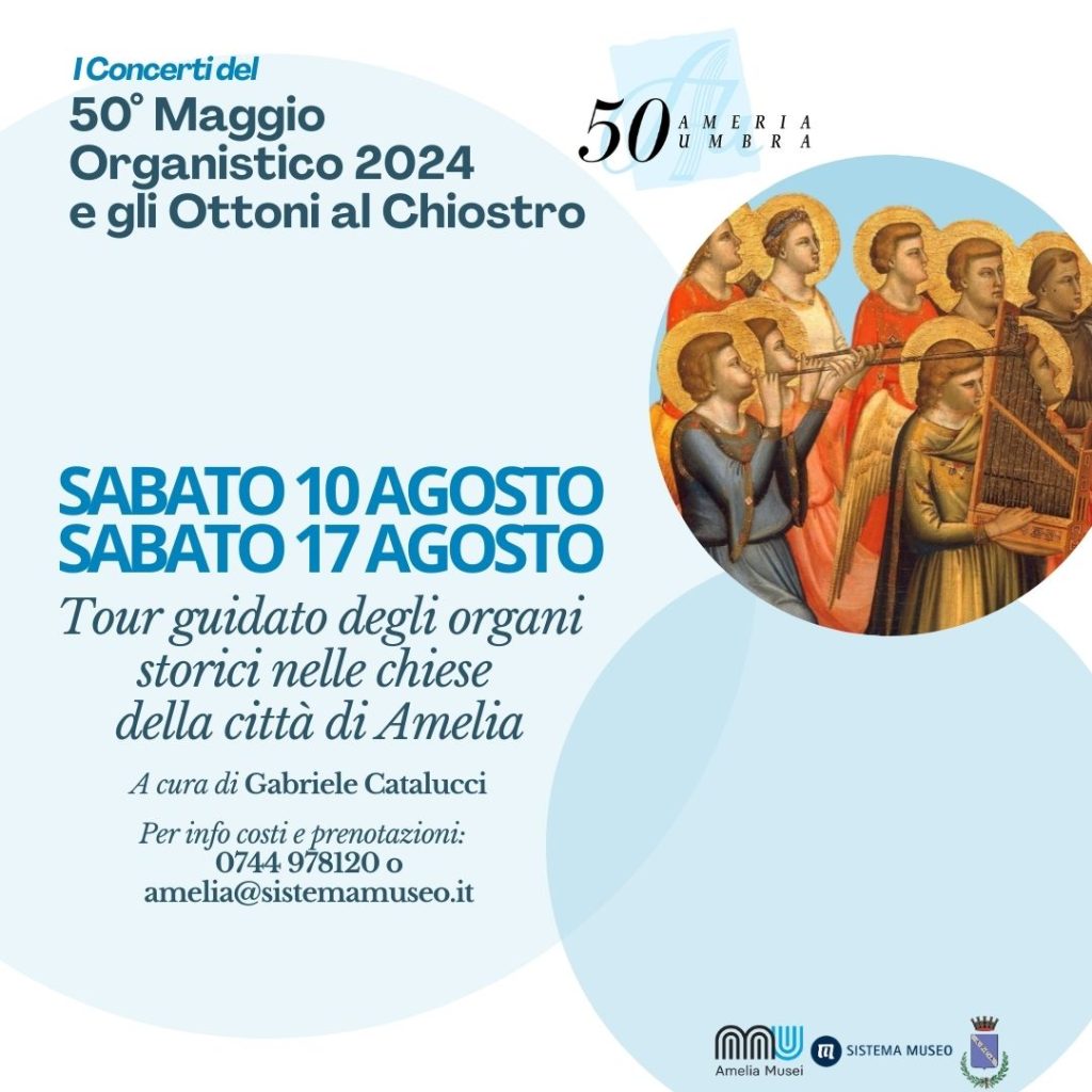locandina-tour-organi