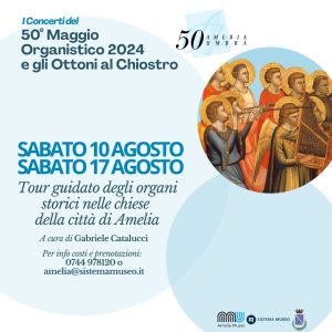 locandina-tour-organi