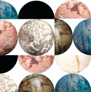 locandina-nigrelli-quadrato