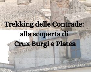 trekking-crux-platea_copertina