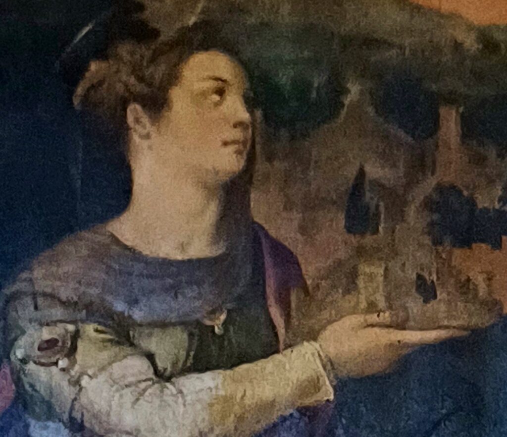 santa-fermina-copertina