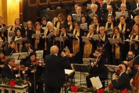 corale-amerina-museo-cop