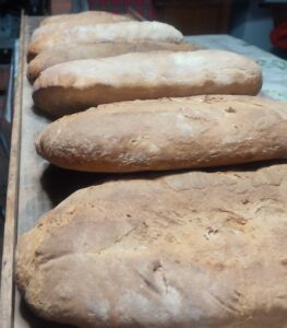 rovena-cercizi-pane